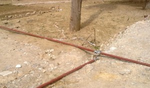 10285175_10152372157792128_1288977106_o