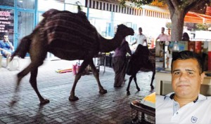 10574432_734203276652757_6395599016587775674_n