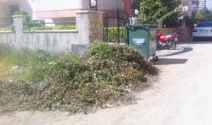 10904_10152526371437856_9027306249079609098_n