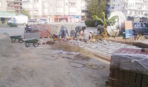 1420355_10151993016572128_620969784_n