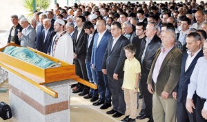 1426539_10152021242007855_821691216_n