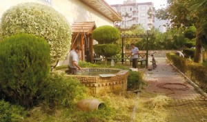 1458903_10151992646812128_150203797_n