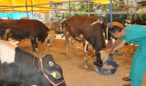 10150533_680539372041238_841507641946395609_n