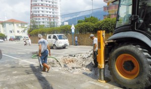 10557576_10203249559293874_1781589069611467359_o