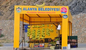 10557114_693263034102205_6372117960463373380_o