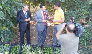 10683615_312065058977044_6292089800349820040_o