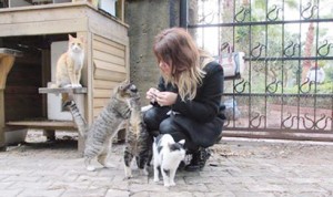 1798450_745615745533600_2694086042952081178_n