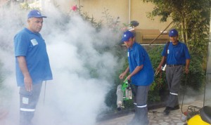 11146500_1127885987226787_3314515350160128632_o