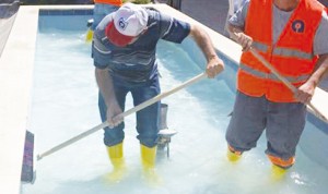 11356266_905785542827862_511423060_n