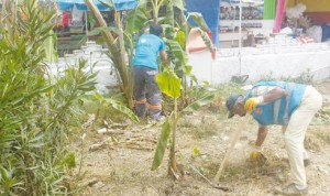 11423999_1136199679728751_8312401617500450310_o