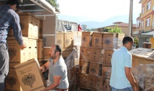 6-11 ctp siyah-beyaz