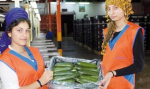 rusyaya-sebze-ve-meyve-ihracati-artti-537526