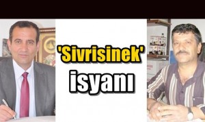 sivrisinek_isyani_h125362_f859d