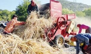 e765128a0ef25763_480x270