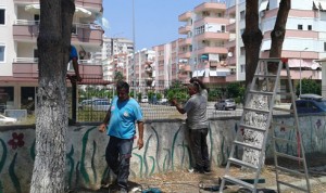 11824931_10207303638612834_2682872237637146862_n