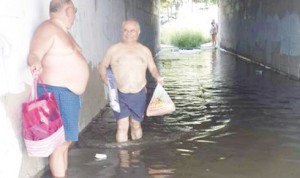 11825627_1175219829160069_8536259821682471604_n