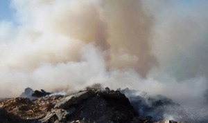 11908173_10153577946628069_1094212732_n