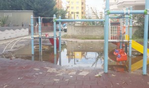 12190376_10153658932692210_1545877820_o