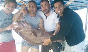 12802750_10153838173820977_354648520976414434_n