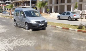 12936693_1327312827284101_8539844116449670980_n