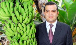 akdenizde_muz_uretimi_hedefi_220_bin_ton_h16399