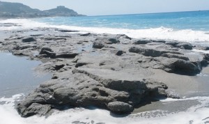 13015346_992784974108888_2933877411149743837_n