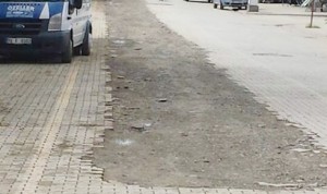 13174064_1347120591969991_5100450973481550579_n