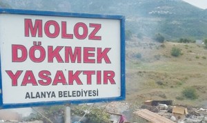 13428351_1375904492424934_7400044951223695708_n