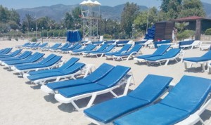 13434786_10157117422895492_485822896140240517_n