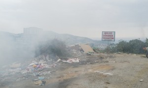 13987653_1091584310887866_585929108606684156_o