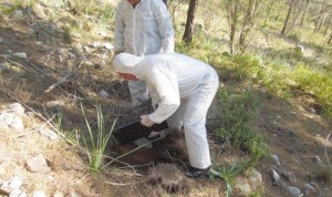 orman-ve-su-isleri-bakanligi-orman-genel-mudurlugu-ogm-antalyada-002