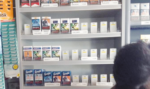 14725499_1491150254233690_6070190908943627773_n