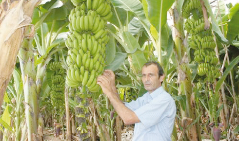 36748-20-yillik-muz-kavgasi-sonunda-bitti