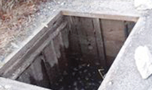 14993436_1871225289828754_8086759393957844326_n