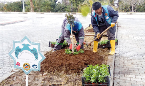 15895633_1196498223778681_3381023546235955268_o