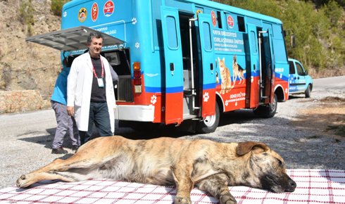 17038564_1250473811714455_3698165799255406839_o