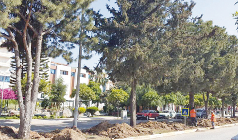 18010131_1730734860275227_220325962187845494_n