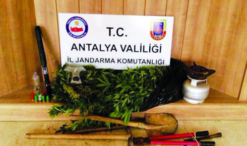 ormanlik-alanda-hint-keneviri-operasyonu-9564580_o