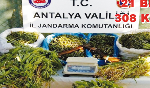 alanya_da_kenevir_tarlasina_baskin_h19329_91b15