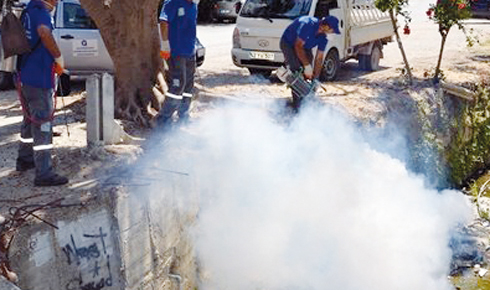 buyuksehir_alanya_da_sinek_avliyor_h19690_734b5