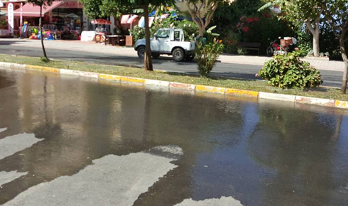 19665285_1578540735552336_6173688173872887286_n