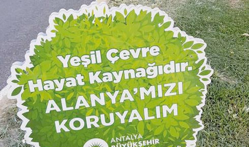 19958934_1578411445565265_655265339592440132_n