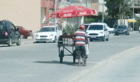 20495588_784485045058522_135832863_o