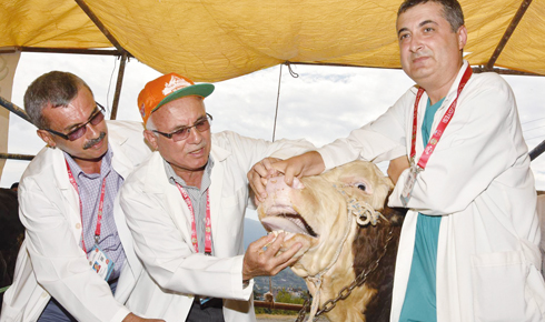 20819528_1418558051572696_8223651891934568254_o