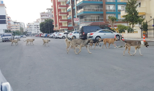 d4b07530-39ad-4782-aef5-78a28e0b4e67