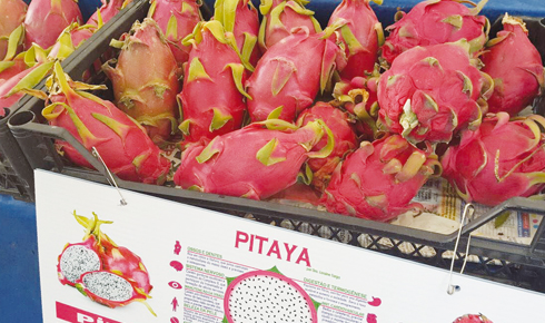 25817cef-5a3a-4fc5-9b65-44de4fddb6fe