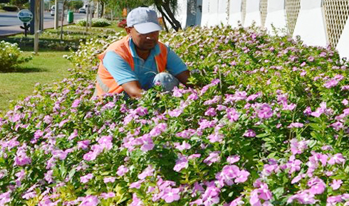 0bbf6c42-0514-44af-9769-9ee020769d93