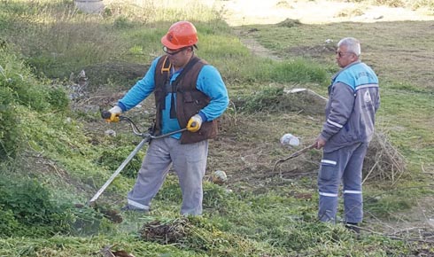 13f8a025-7812-4811-82f6-0c57a29ed942