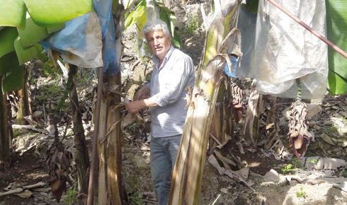 37479249-f2e2-4869-9a9b-6d1df550172e