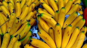 yerli_muzda_rekor_fiyat_h89591